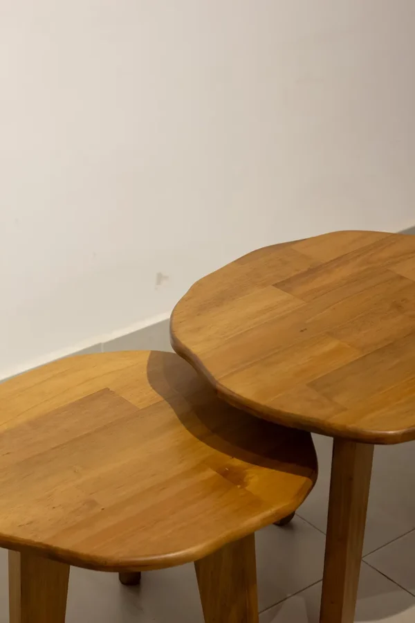 MESA DE CENTRO IRREGULAR - Image 2