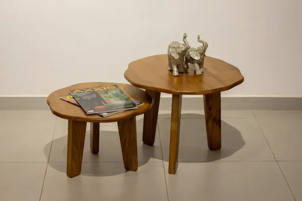 MESA DE CENTRO IRREGULAR